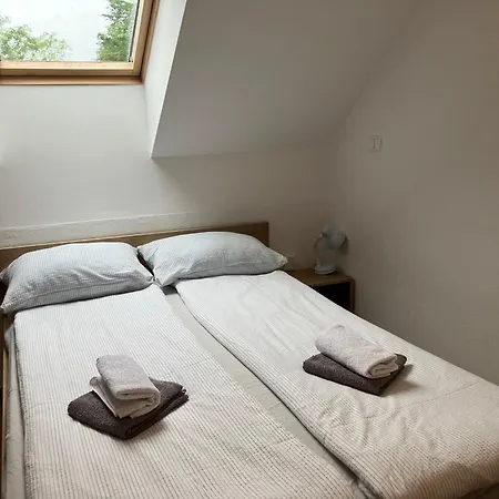 Apartment Ozebek *